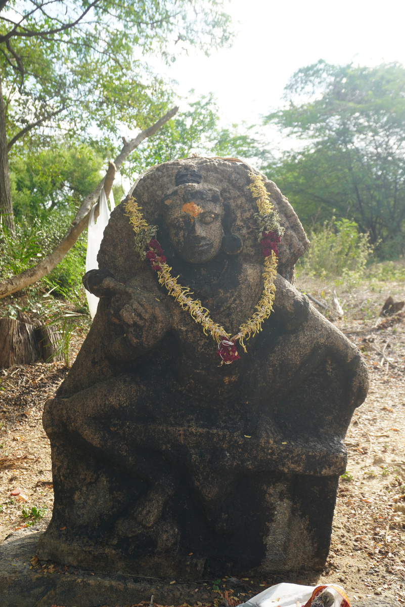 Cheral field photo
