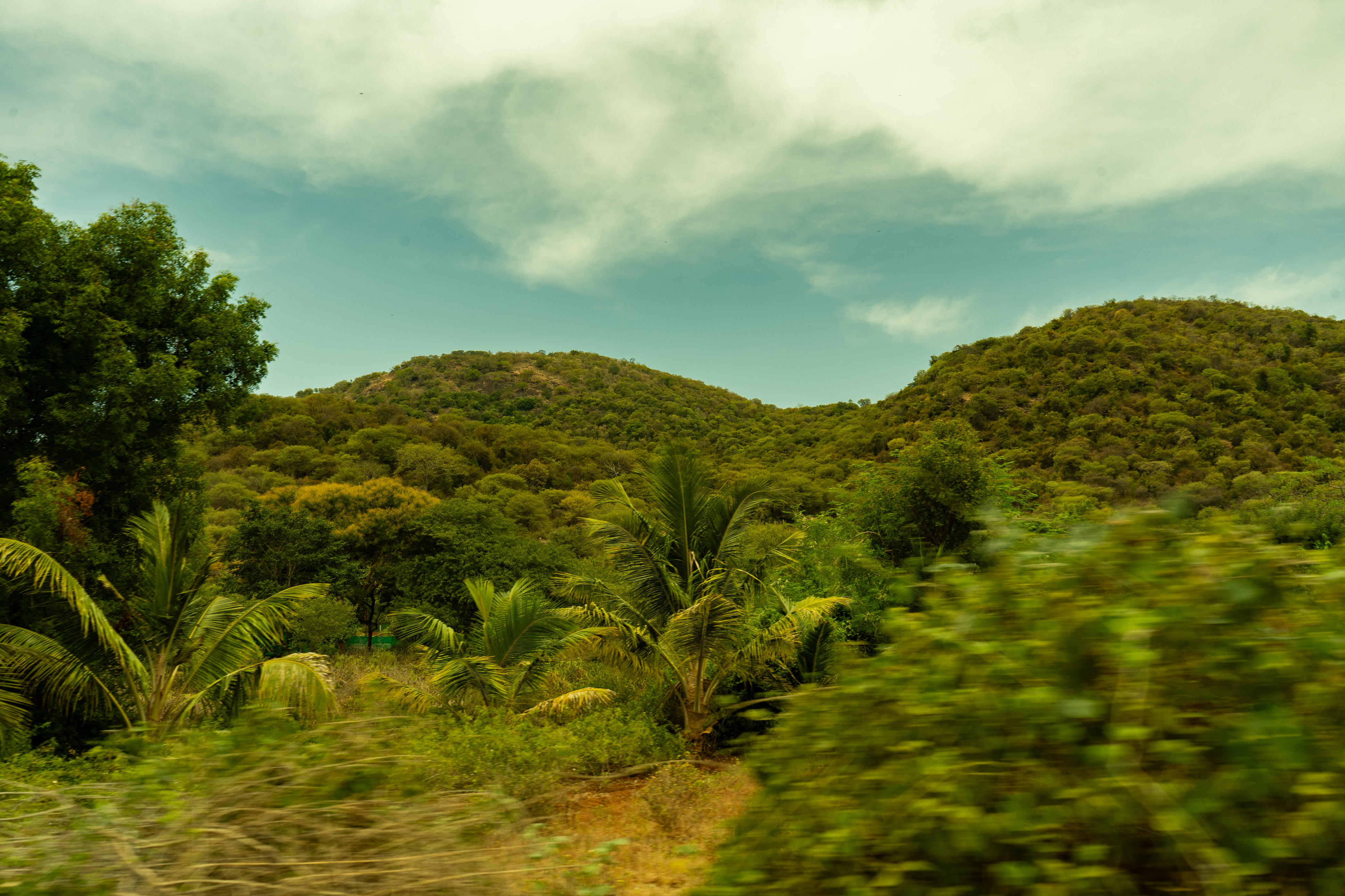 Cheral field photo